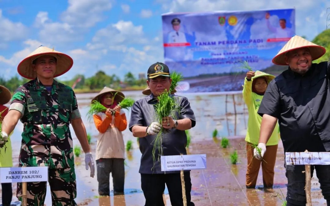 Ketua DPRD Kalteng Hadiri Tanam Padi Perdana dan Peletakan Batu Pertama Pembangunan Rice Milling Unit di Pulang Pisau